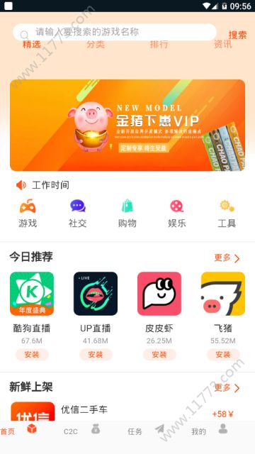 金猪下崽app