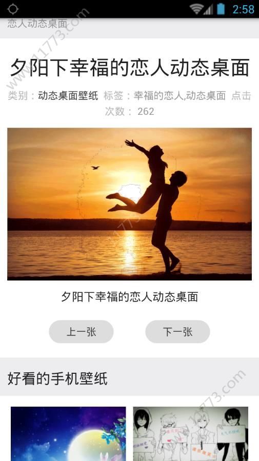 七天壁纸君app